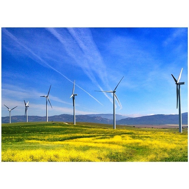 Conversión de desperdicios en energía o  ‘Waste to Energy’-WtE -  en CABA