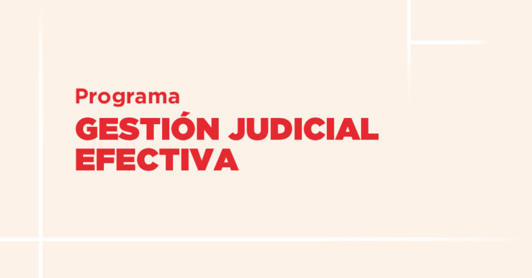 Banner prog gestion judicial efectiva
