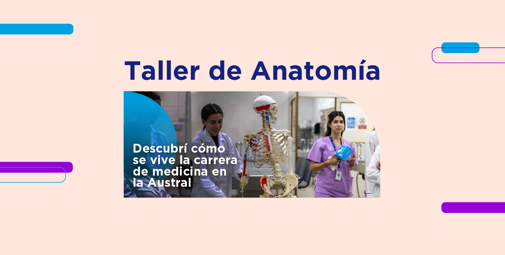 Taller_de_Anatoma_2025-03