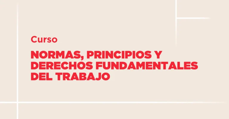 Curso Normas Principios y Derechos Fundamentales del Trabajo 2025-04