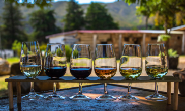 High-Altitude Wine & Regional Value Chains