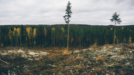 FC CECAP medio ambiente