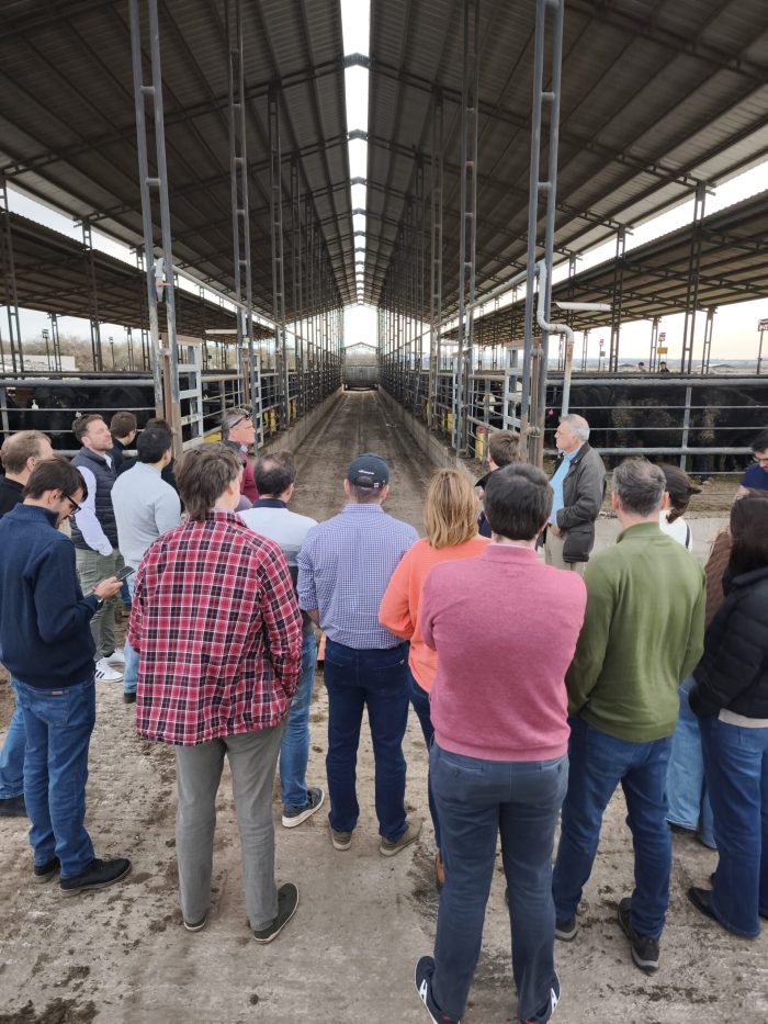 WhatsApp Image 2025-07-31 at 17.32.51