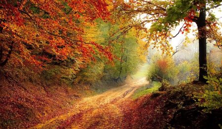road-1072823_960_720